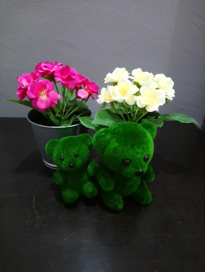 Jb Homestay Bukit Indah Wifi Ciq Mall Legoland Free Parking Johor Bahru Esterno foto